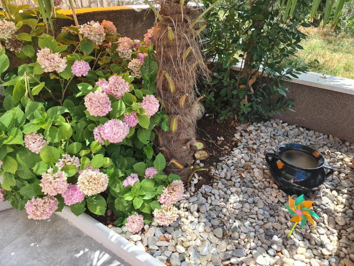 Smiljana Apartments كليمنو المظهر الخارجي الصورة